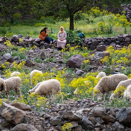 Toubkal Ecolodge Имлиль Экстерьер фото