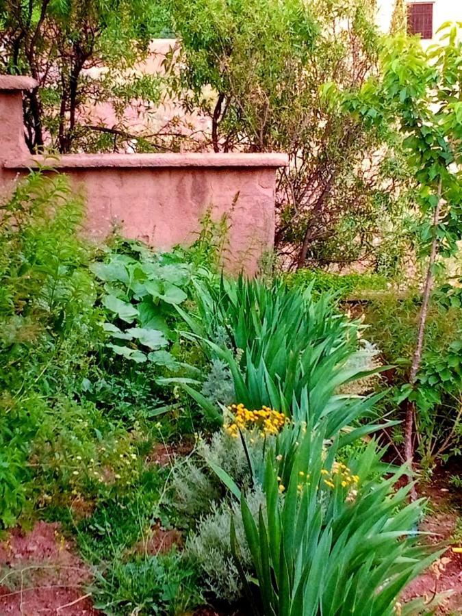 Toubkal Ecolodge Имлиль Экстерьер фото